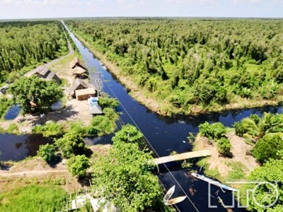 24 chính sách khẩn cấp để cứu các hệ sinh thái